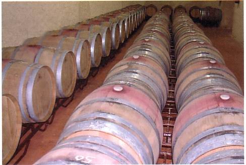 Barricas de vino en bodega