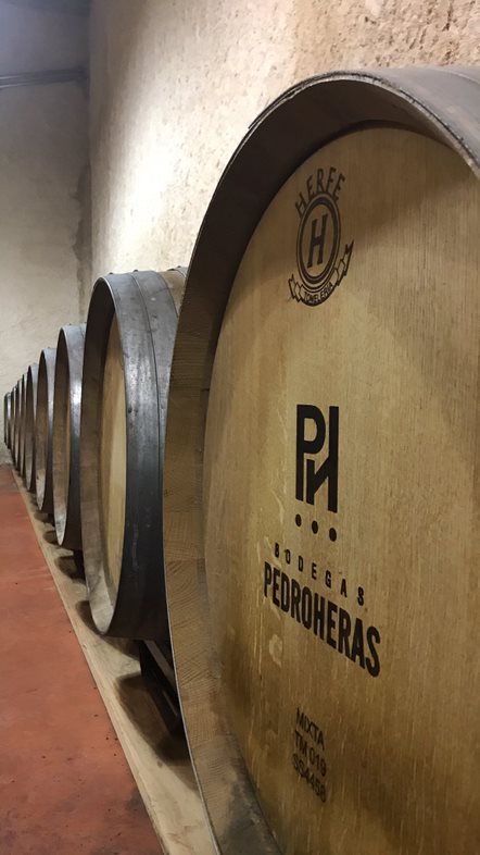 Interior de la bodega con fila de barriles