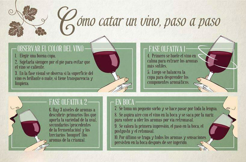 Persona catando un vino en una copa